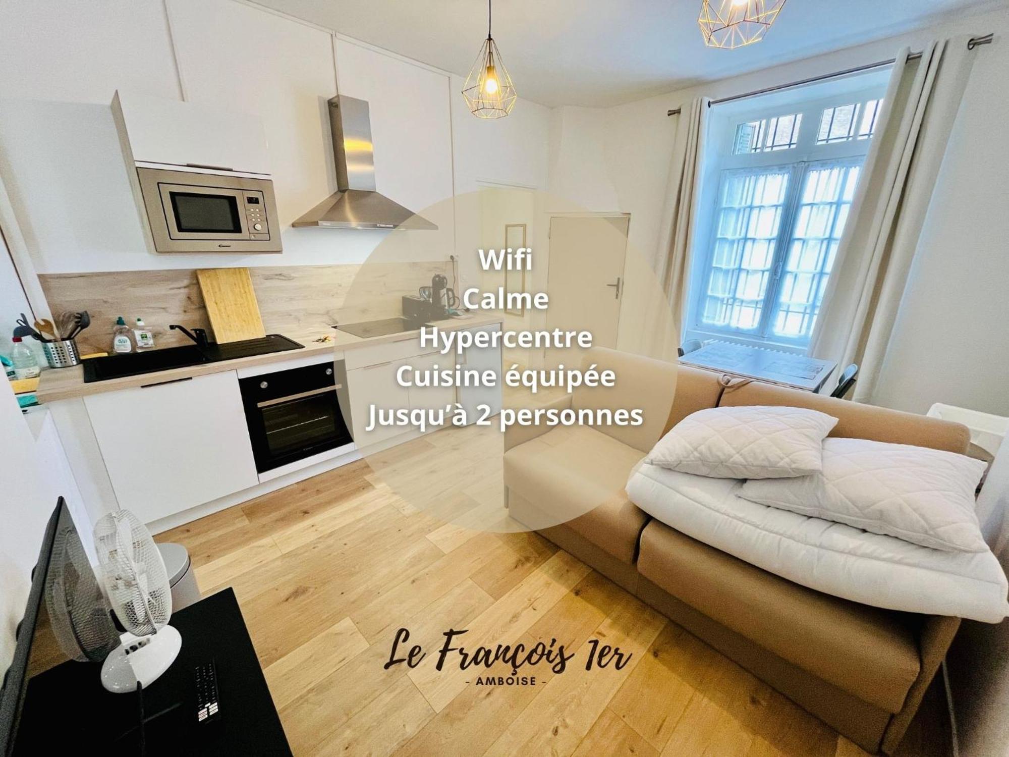 Le Francois 1Er - Studio Entre Loire Et Chateau Royal - Manoir De La Concorde Amboise Dış mekan fotoğraf